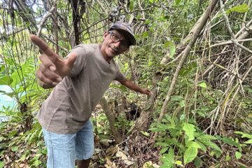 Naturatins financia pesquisa sobre baunilhas nativas