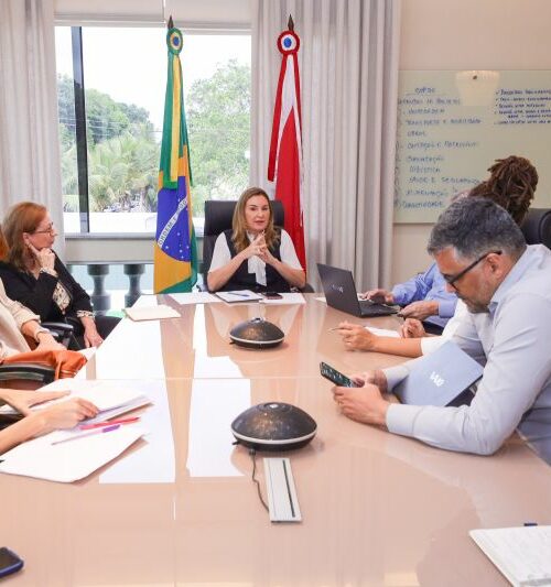 Governo do Pará participa de reunião com Secretaria Extraordinária Para a Realização da COP30