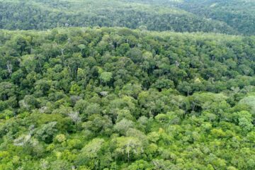 Ações do Governo do Tocantins em 2024 fortaleceram compromisso com o futuro sustentável