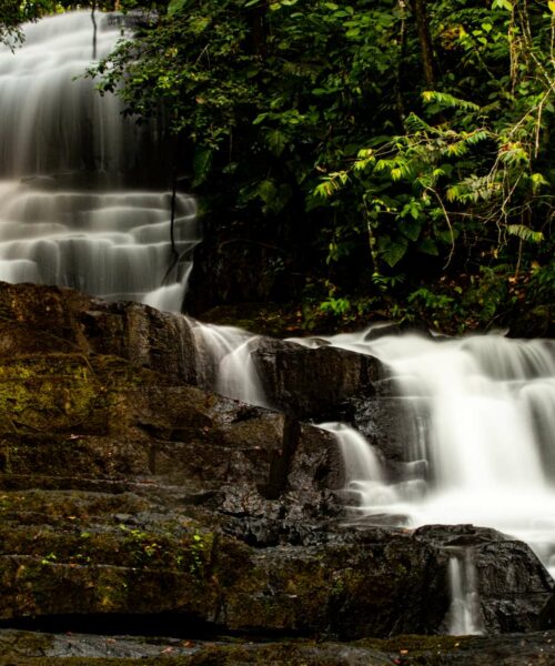 Estudo  sobre rotas na Amazônia destaca comunidades indígenas de Roraima