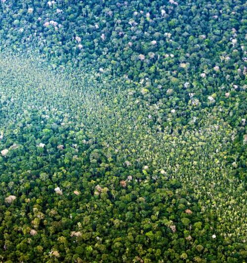 Brasil avança em finanças sustentáveis e ganha destaque em relatório global