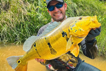 Turismo sustentável: Lei de Proteção do Tucunaré vai desenvolver a pesca esportiva no Amazonas 