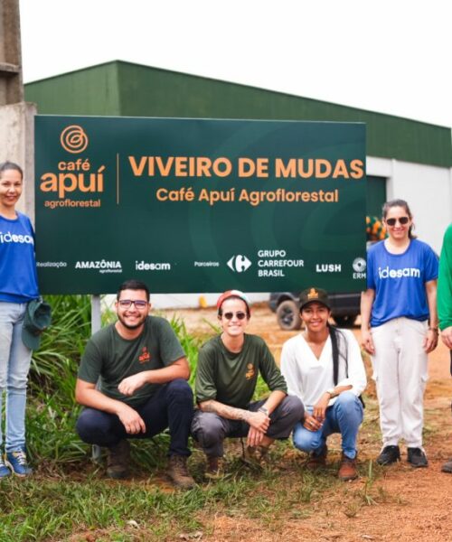 Novo Viveiro de Mudas poderá produzir mais de 300 mil unidades para plantio na cafeicultura familiar em Apuí-AM