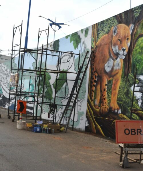 Viaduto da Estrada Dias Martins, em Rio Branco, ganha grafites que homenageiam a Amazônia e o Agronegócio