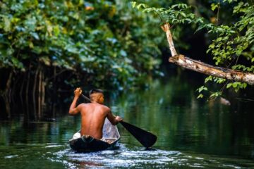 A Complementaridade Entre Saberes Indígenas e a Ciência Ocidental: Um Caminho para a Preservação da Amazônia e o Futuro do Planeta