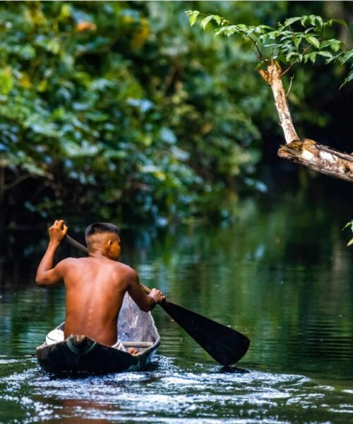 A Complementaridade Entre Saberes Indígenas e a Ciência Ocidental: Um Caminho para a Preservação da Amazônia e o Futuro do Planeta