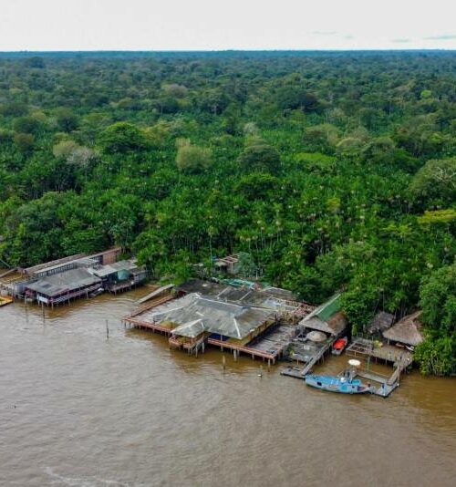 Pará dobra entrega de Planos de Gestão de Unidades de Conservação em 2024