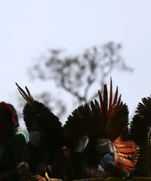 Ciência precisa dialogar com ecologia indígena, dizem pesquisadores