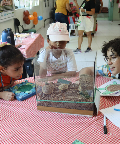 Inpa garante aprendizado e diversão com o “Férias no Bosque”, em Manaus