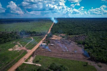 Restrição de tráfego de veículos pesados na BR-319 é destaque no informativo do Observatório BR-319