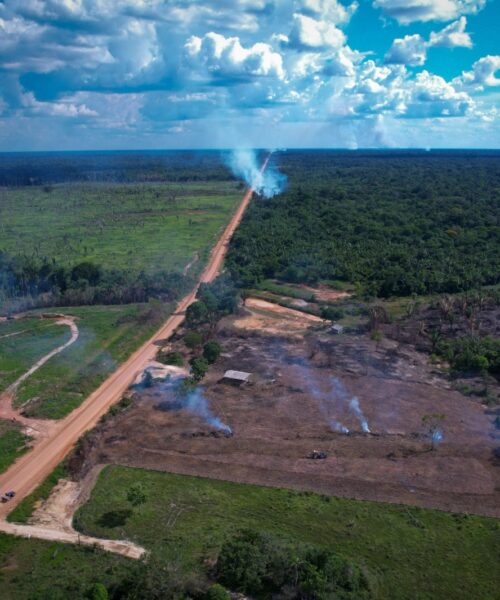 Restrição de tráfego de veículos pesados na BR-319 é destaque no informativo do Observatório BR-319