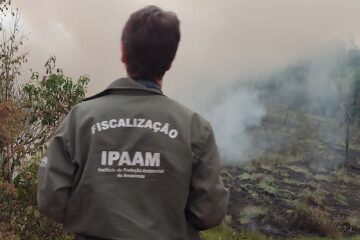 Fiscalizações ambientais do Ipaam crescem 281,38% com foco no combate ao desmatamento no Amazonas