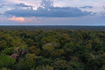 O que estaria em jogo com nova lei que converteria Amazônia em Cerrado em Mato Grosso?