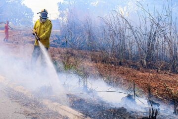 Em ano marcado por eventos climáticos, Governo do Tocantins atua de forma rápida e coordenada na proteção e na conscientização da população