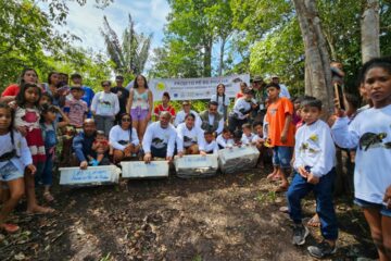 Moradores de Reserva de Desenvolvimento Sustentável no Amazonas celebram aumento da população de quelônios com projeto