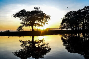 Amapá ganha destaque no setor turístico com inclusão de Tartarugalzinho no Mapa do Turismo Brasileiro