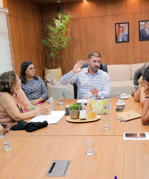 Nicolau Júnior se reúne com movimentos sociais e conselheiras do TCE para fortalecer ações de combate à violência de gênero