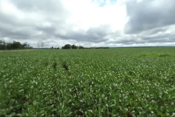 Agro 5.0: o futuro já chegou – e ele é global 
