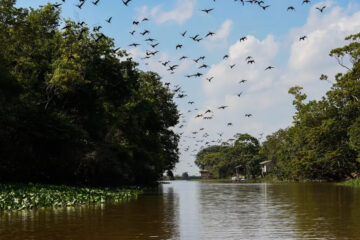 Amapá tem setor turístico regional fortalecido com inclusão de Santana no Mapa do Turismo Brasileiro