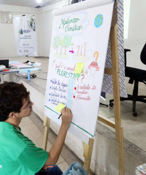 Programa de REDD+ avança no Tocantins com redução histórica no desmatamento, esclarecimento e participação comunitária