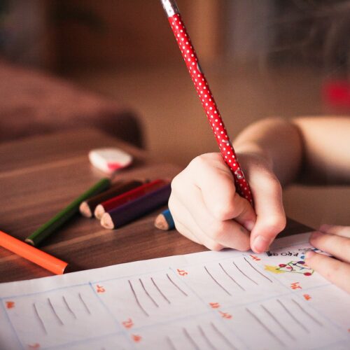 Internacionalismo na educação é caminho para formar cidadãos globais