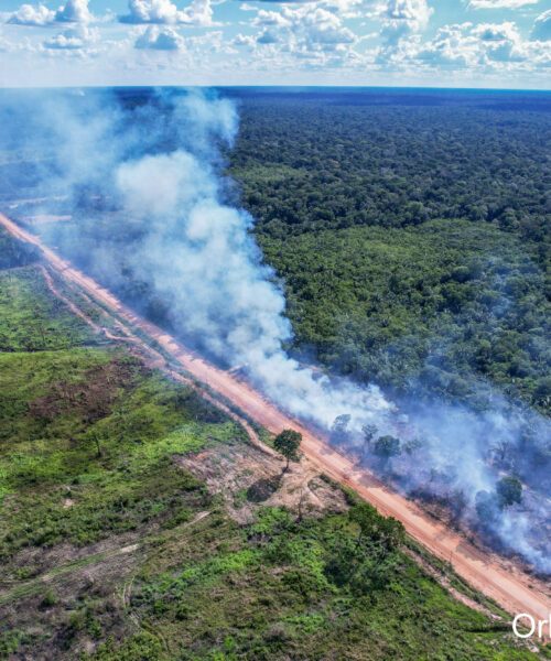 Em 2024, desmatamento atingiu 40% das áreas protegidas monitoradas na BR-319