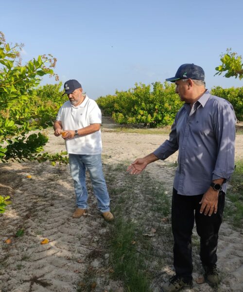 Governo de Roraima impulsiona agricultura familiar com projeto agroecológico