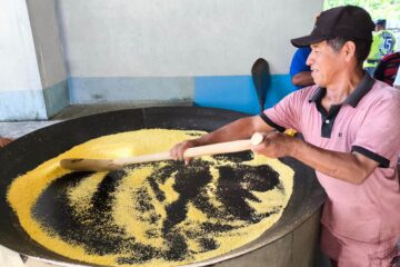 No interior do Amazonas, curso de produção de farinha de mandioca do Idam beneficia agricultores familiares