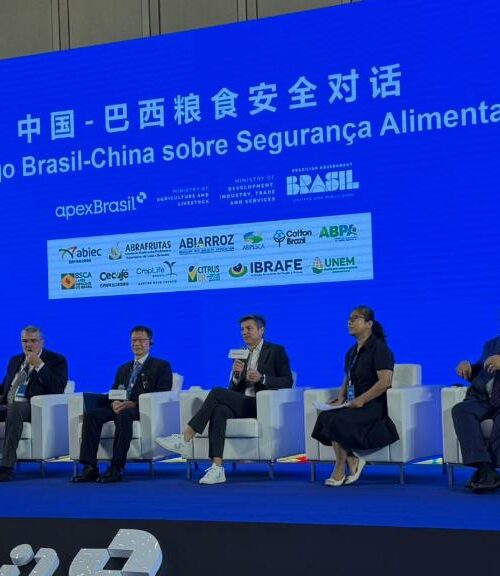 China abre mercado para DDG e Mato Grosso sai na frente com articulação estratégica da Sedec