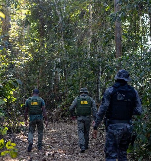 Mato Grosso ocupa posição de liderança na produção de grãos e também na redução do desmatamento