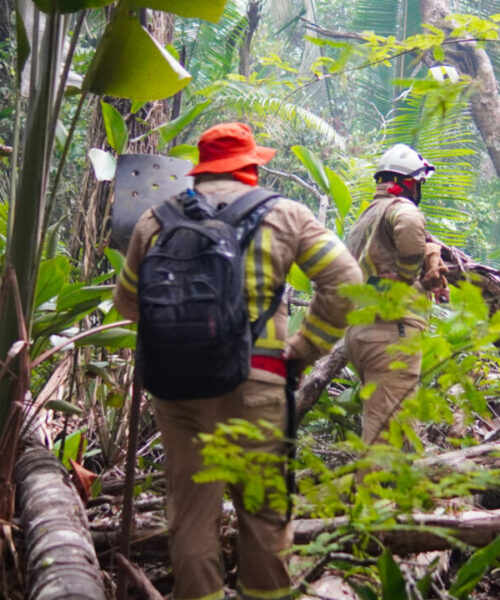 Rondônia se prepara para enfrentamento da estiagem de 2025