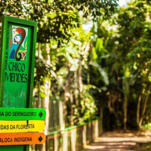 Mostra de produções audiovisuais do Ministério do Meio Ambiente vai contar com vídeo do Parque Ambiental Chico Mendes