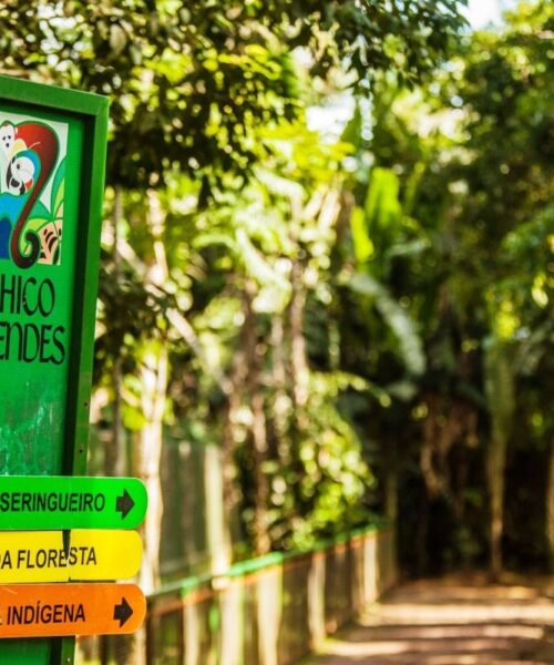 Mostra de produções audiovisuais do Ministério do Meio Ambiente vai contar com vídeo do Parque Ambiental Chico Mendes