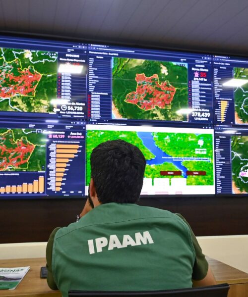 Ipaam registra queda de 16,65% no desmatamento e 72,72% nos focos de calor no Amazonas