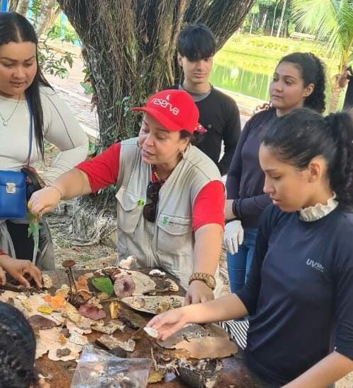 Estudantes do IFAC participam de aula de campo no Horto Florestal e refletem sobre a importância da educação ambiental