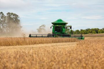 Mato Grosso consolida liderança global na produção de grãos e fibras na safra 2024/2025