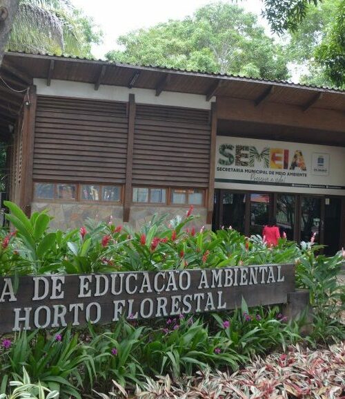 Portaria da Prefeitura de Rio Branco define regras para o transplantio de árvores na área urbana