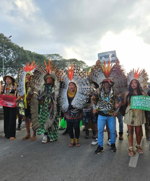 A Violência contra os Povos Indígenas e a Urgente Defesa da Amazônia 