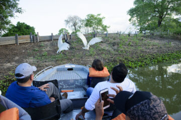 Ecoturismo transforma viajantes em aliados da conservação ambiental em Mato Grosso