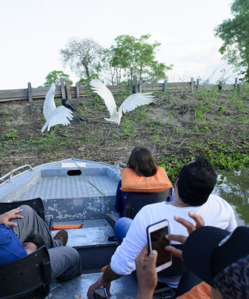 Ecoturismo transforma viajantes em aliados da conservação ambiental em Mato Grosso