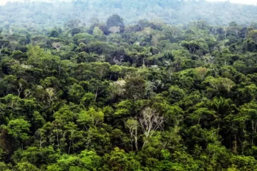 Último evento preparatório para COP30 começa nesta segunda