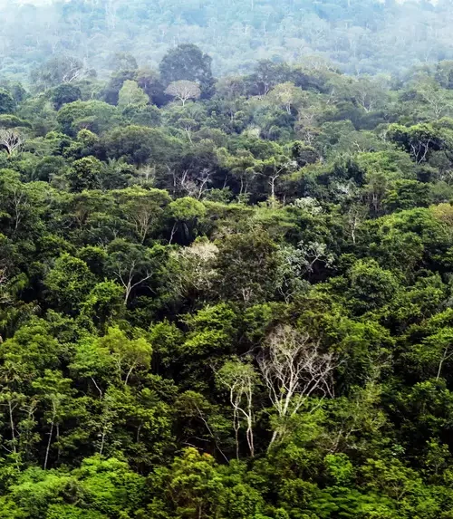 Último evento preparatório para COP30 começa nesta segunda