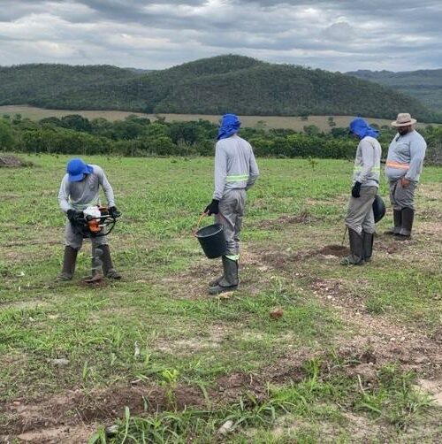 Áreas de recuperação ambiental em Mato Grosso serão ampliadas com investimentos internacionais