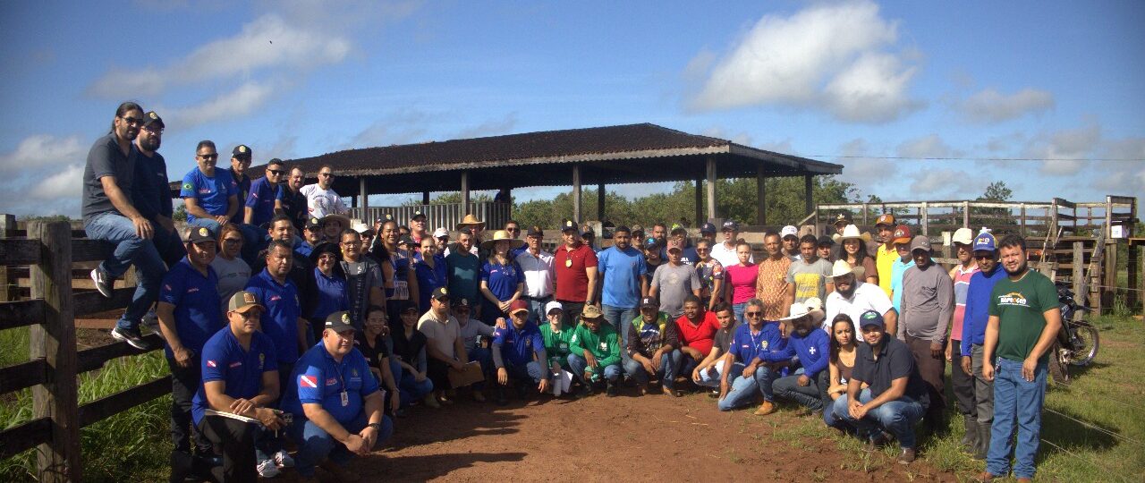 Agricultores do Pará recebem treinamento inédito em rastreabilidade bovina