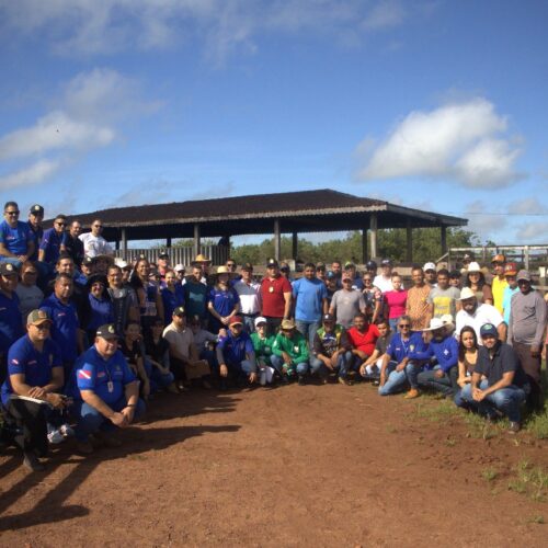 Agricultores do Pará recebem treinamento inédito em rastreabilidade bovina