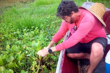 Com apoio do Governo do Amazonas, pesquisa identifica duzentas espécies de microalgas em Parintins