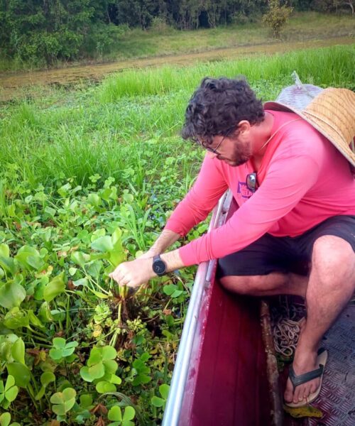 Com apoio do Governo do Amazonas, pesquisa identifica duzentas espécies de microalgas em Parintins