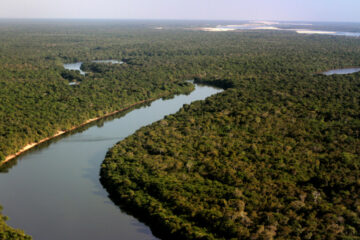 Parque Estadual do Cantão completa 27 anos como referência em conservação ambiental no Tocantins