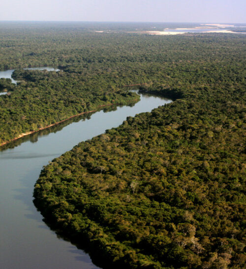 Parque Estadual do Cantão completa 27 anos como referência em conservação ambiental no Tocantins