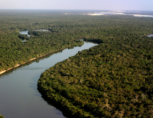 Relatório GEO Brasil 2025 aponta impactos ambientais críticos e desafios para políticas públicas